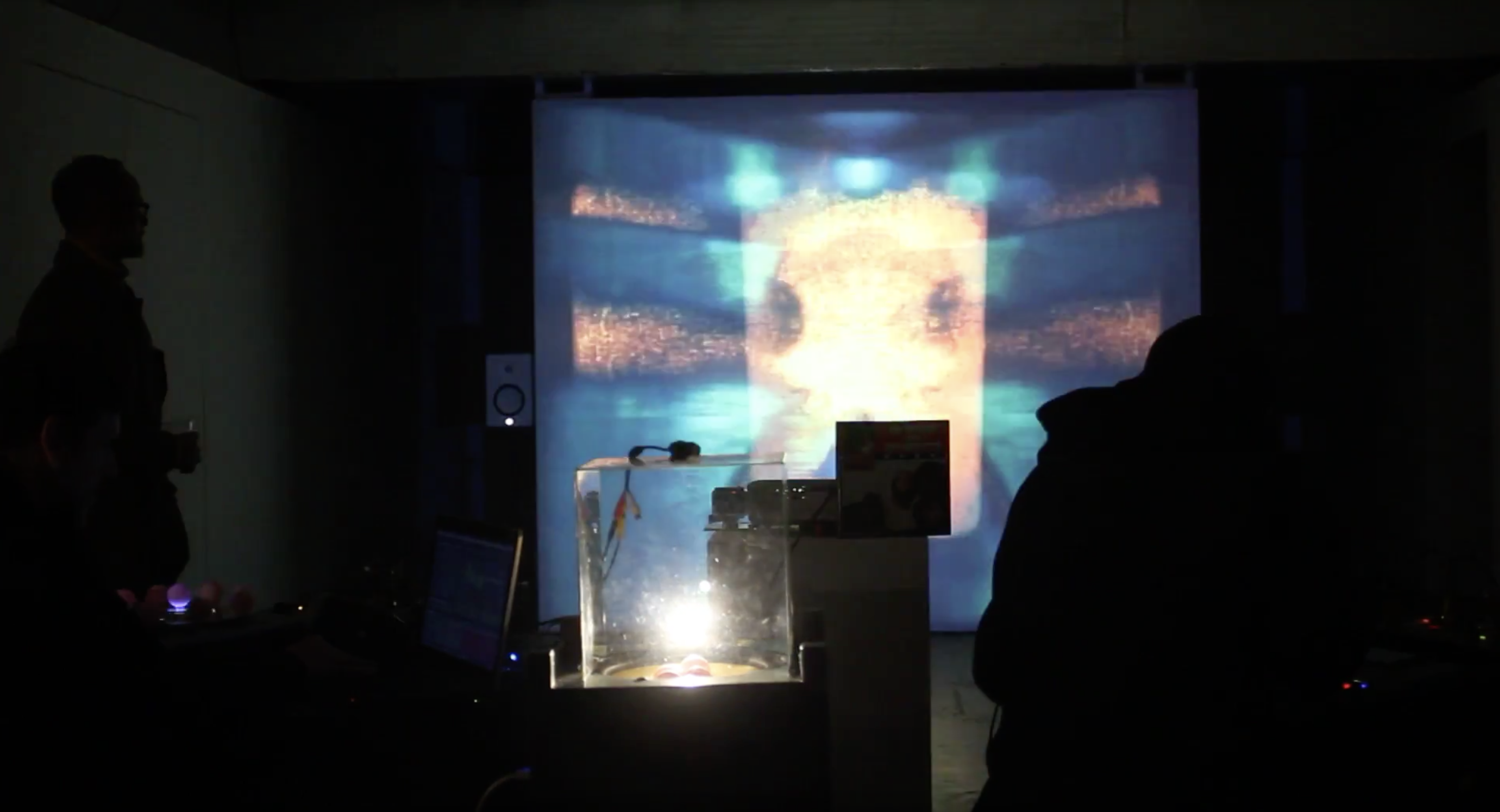 Die Schone Und Das Monster